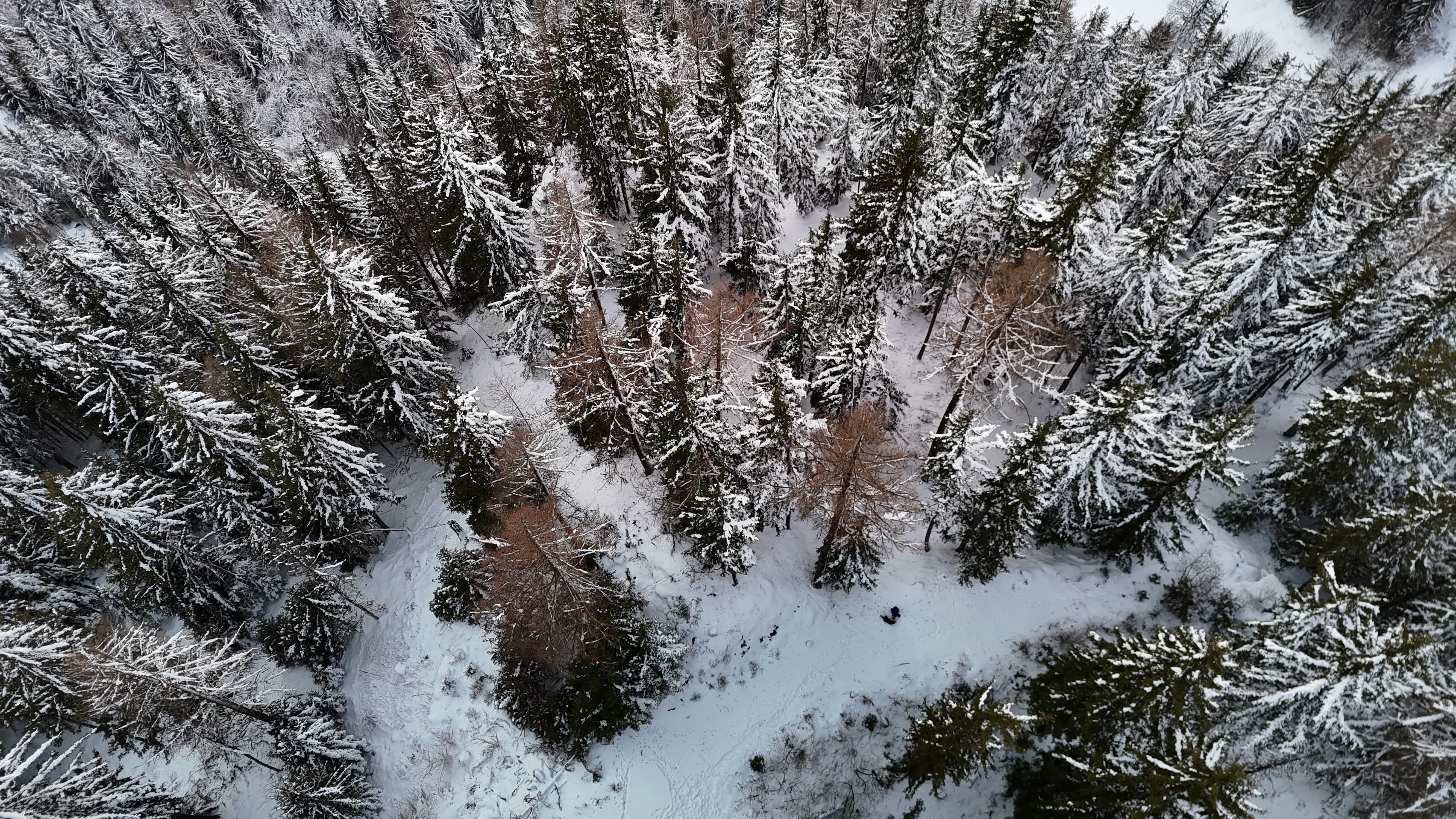 Sainte-Foy-Tarentaise